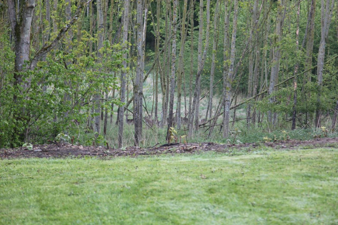 Chalet Forsthof Everstorf Grevesmuehlen Zewnętrze zdjęcie