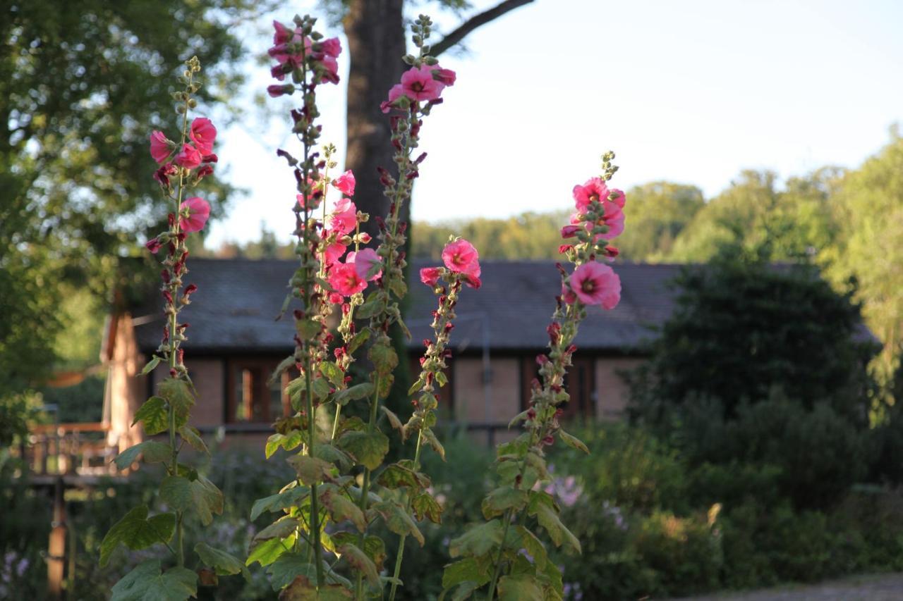 Chalet Forsthof Everstorf Grevesmuehlen Zewnętrze zdjęcie