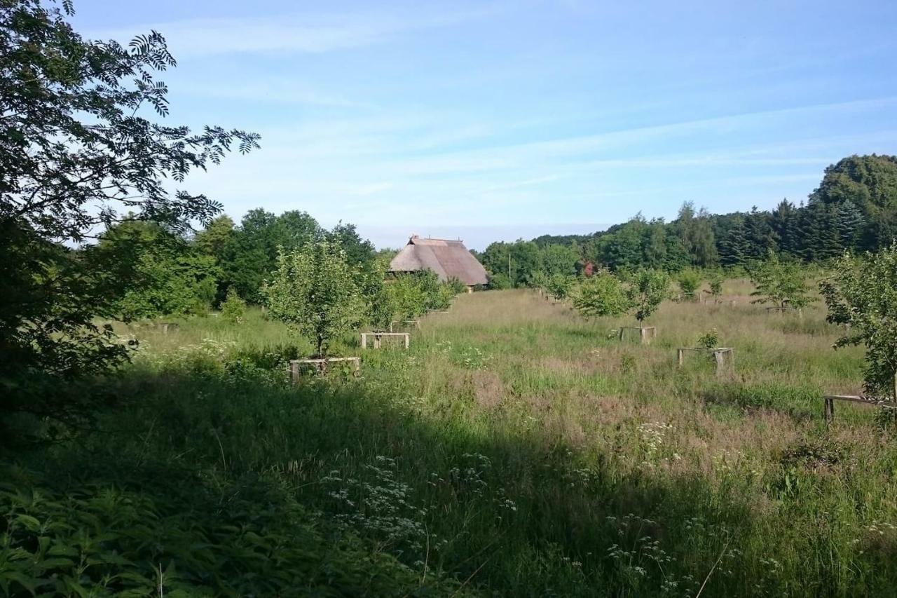 Chalet Forsthof Everstorf Grevesmuehlen Zewnętrze zdjęcie