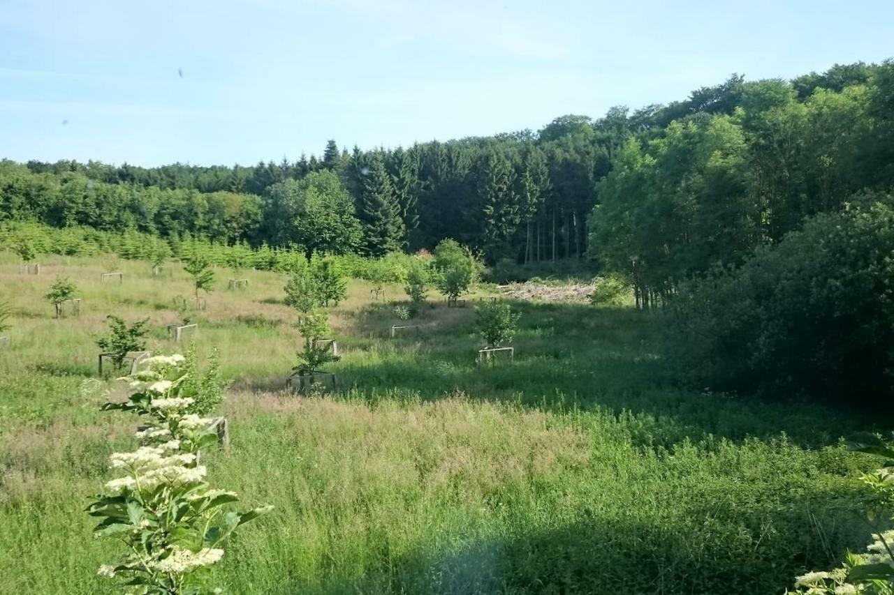 Chalet Forsthof Everstorf Grevesmuehlen Zewnętrze zdjęcie