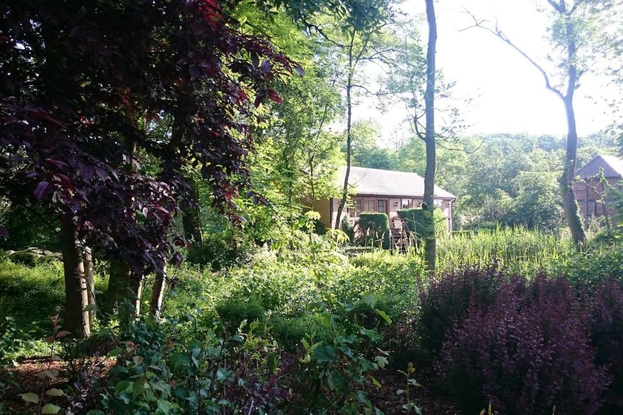 Chalet Forsthof Everstorf Grevesmuehlen Zewnętrze zdjęcie